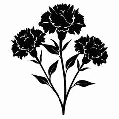 carnations flower silhouette on white background
