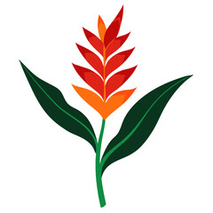  heliconia rostrata flower silhouette with branch on white background