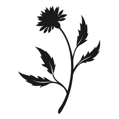 black and white flower