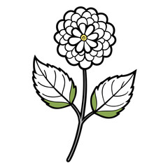 black and white flowers