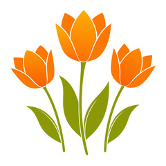  orange tulips flower silhouette with branch on white background