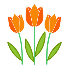 bouquet of orange tulips isolated