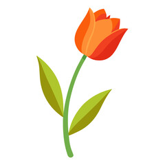  orange tulips flower with branch on white background
