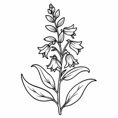 vector illustration of an abstract floral ornament