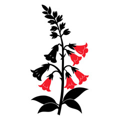 penstemon flower silhouette on white background