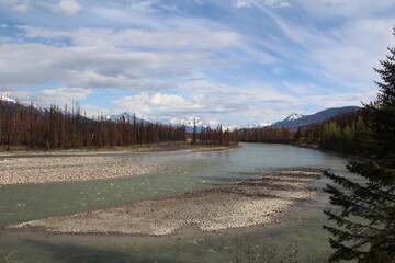 Spring On The Athabasca River, Jasper National Park, Alberta