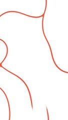 Abstract organic red lines on a white background