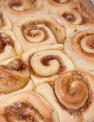 Dozen Fresh Baked Cinnamon Rolls Fresh Out of the Oven