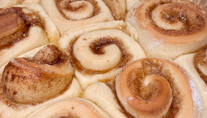 Dozen Fresh Baked Cinnamon Rolls Fresh Out of the Oven