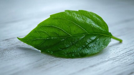 fresh green leaf with water droplets on wooden surface, close-up of nature and plant detail
