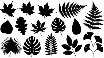 Collection of diverse botanical leaf silhouettes on a white background, representing nature's beauty.
