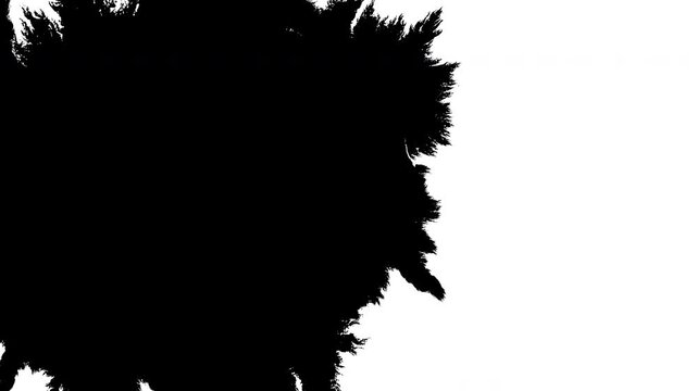 Ink transition splatter blot spreading left to right turbulent moving abstract painting animation background