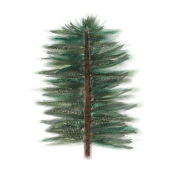 Watercolor illustration of a tall Christmas pine tree with green needles and a brown trunk, depicted in a soft, natural hand-painted style for holiday projects.