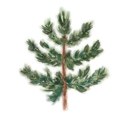 Watercolor illustration of a green pine tree for Christmas holiday card, winter season decoration or nature forest design element