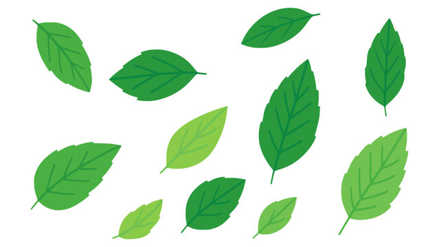 Flying mint leaves nature flat color vector illustration template design