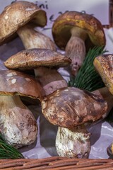 Porcini mushrooms