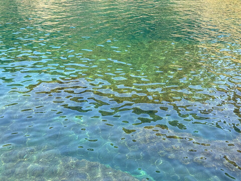 Emerald green clear sea water with underwater algae.