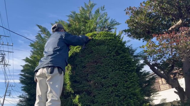 庭師　植木屋　造園屋　男性
