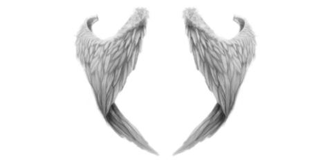 Vertical sketch angel wings png clipart, elegant hand drawn feathered pair standing upright and isolated on transparent background, celestial tattoo reference, logo accent and fantasy design element


