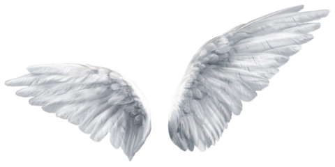 Realistic angel wings png illustration, detailed silver white feathered pair slightly curved forward, isolated on transparent background for fantasy photo edits, posters, covers and design projects

