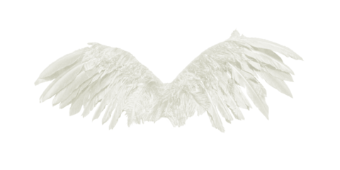 Wide spread angel wings png silhouette, soft off white layered feathers in panoramic shape isolated on transparent background, celestial fantasy border for banners, headers and digital artwork

