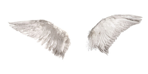 Vintage angel wings png graphic, slightly tattered white feathered pair isolated on transparent background, grunge celestial design element for fantasy art, edits, posters and album covers

