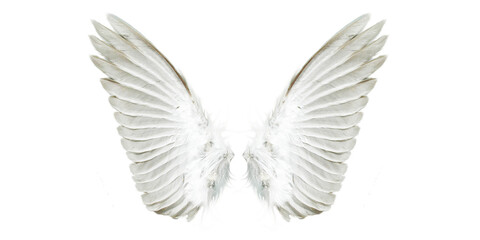 Obraz premium White angel wings png clipart, symmetrical feathered wing set isolated on transparent background, ethereal celestial costume accessory graphic for fantasy art, photo editing and design