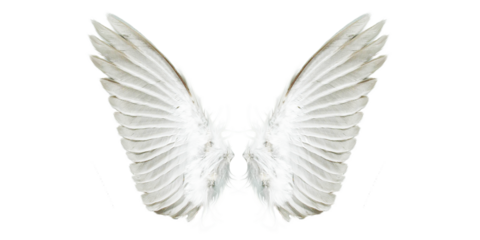 White angel wings png clipart, symmetrical feathered wing set isolated on transparent background, ethereal celestial costume accessory graphic for fantasy art, photo editing and design

