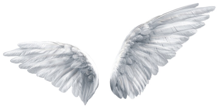 Realistic angel wings png illustration, detailed silver white feathered pair slightly curved forward, isolated on transparent background for fantasy photo edits, posters, covers and design projects

