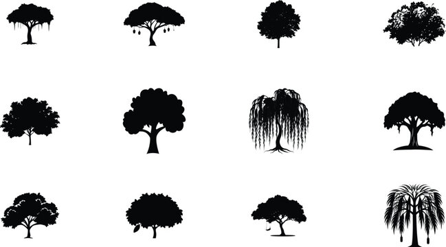 A comprehensive collection of black ink splashes and vector silhouettes featuring nature elements like pine, oak, and birch trees with various leaf and branch patterns for botanical design