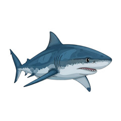 Obraz premium blue shark swimming ocean predator.