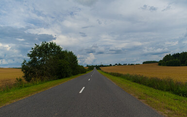Fototapeta premium Road view on a summer day. Highways and bridge, roadside and white road line markings.