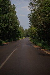 Obraz premium The effect of speed on the road and blurred. View of the road on a summer day.