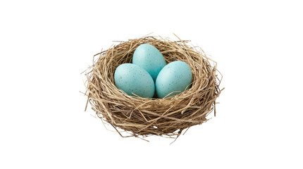 Obraz premium A closeup of golden and brown chicken eggs nestled in a natural straw bird nest creates a fresh spring holiday decoration and symbolic Easter celebration concept