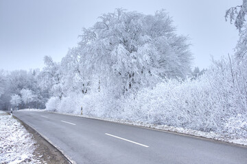wonderful road in winter with frost covered trees