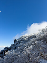 冬期の御在所岳、裏道登山道の山頂周辺の樹氷と冬山風景