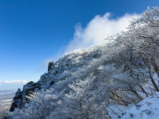 冬期の御在所岳、裏道登山道の山頂周辺の樹氷と冬山風景