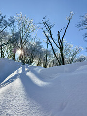 御在所岳の裏道登山道で山頂へ続く樹氷の雪道