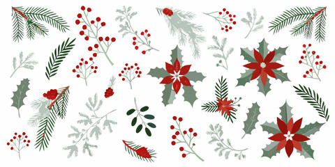 Festive winter botanical collection with red berries holly and poinsettia flowers