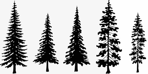 Silhouettes of coniferous trees a simple black and white forest scene © Shuvra Majumder