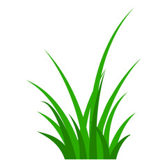 Green grass tuft vector illustration