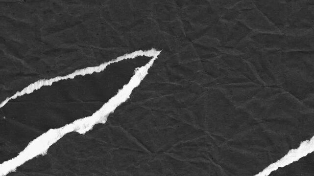 Textured dark paper surface with torn edges and white ragged detail for graphic designs