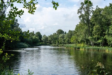 Serene natural landscape with a winding river surrounded by verdant trees and reeds under a&hellip;