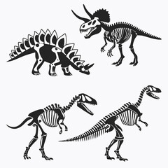 Dinosaur skeleton illustrations © zon