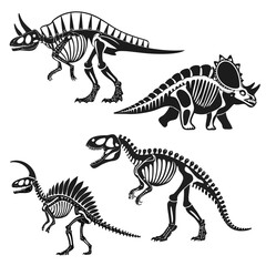 Dinosaur skeleton illustrations © zon