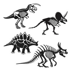 Dinosaur skeletons © zon