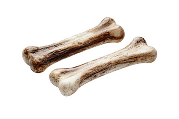 Two Animal Bones on White Background