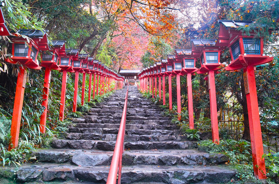 京都市左京区、秋の紅葉シーズンの貴船神社、雨に濡れた参道
