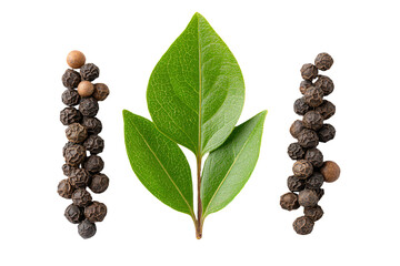 Bay Leaf and Black Peppercorns on White Background