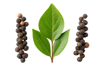 Bay Leaf and Black Peppercorns on White Background